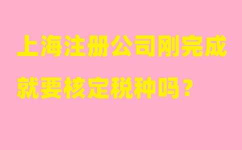 上海注冊(cè)公司剛完成就要核定稅種嗎？